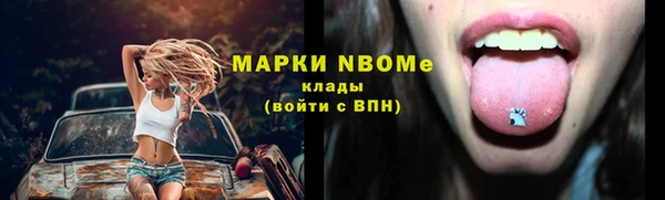 мдпв Дмитриев