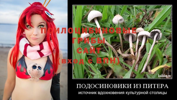гашишное масло Дмитровск
