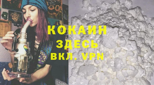 мдпв Дмитриев