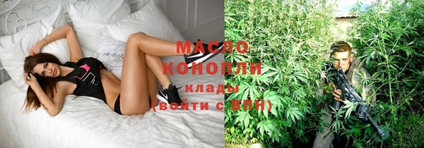 мдпв Дмитриев