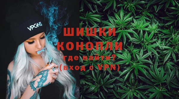 мдпв Дмитриев