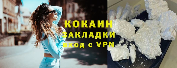 мдпв Дмитриев